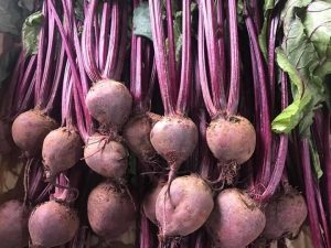 CỦ DỀN NHIỀU MÀU (beet)