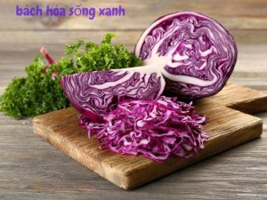 BẮP CẢI TÍM