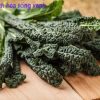 Cải Xoăn Kale