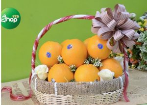 Read more about the article Top cửa hàng cung cấp giỏ hoa quả 300k đẹp