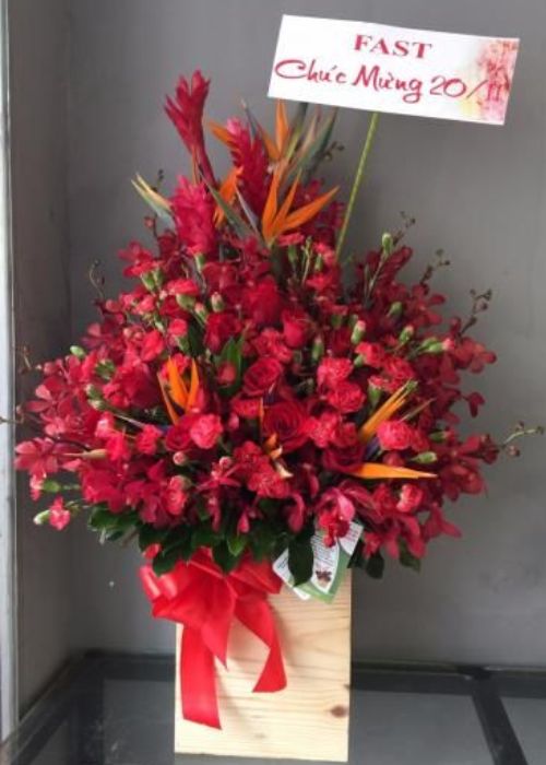 Giỏ hoa lan đẹp - Hoa địa lan đỏ 